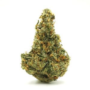 XJ-13 Sativa Dominant Hybrid
